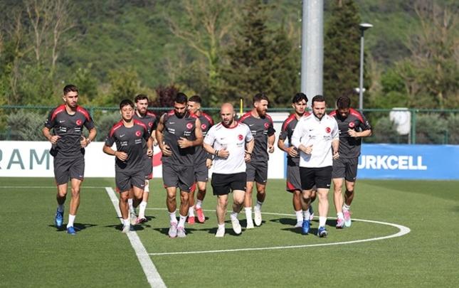 Türkiyə millisində ciddi itkilər