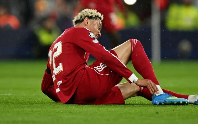 Fransa millisinin üzvü Ekitike DÇ-2026-nı buraxacaq